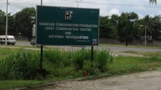 NCF Promotes Environmental Sustainability in Lagos Schools
