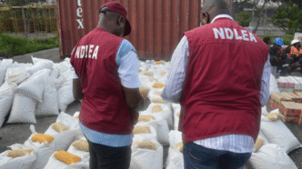 NDLEA Confiscates Illicit Drugs Worth N134 Billion in Lagos