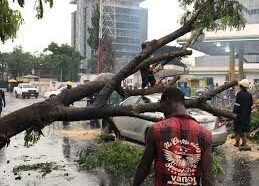 Fallen Trees, Streetlights Cause Obstructions in Ikoyi