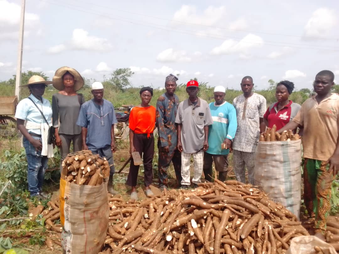WAPA Kicks Off 2025 Cassava Harvest at Avia Farm, Badagry