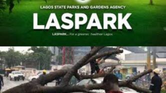 LASPARK Clears Fallen Trees in Storm-Damaged Areas