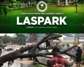 LASPARK Clears Fallen Trees in Storm-Damaged Areas