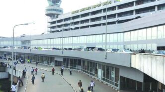 Safety Scare at Lagos Airport, Others as Bird Strikes Disrupt Key Economic Gateway