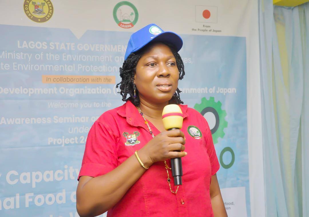 LASEPA, UNIDO, Japan Partner to Fight Cholera in Flood-Prone Lagos Communities