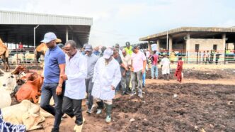 Oko-Oba Abattoir in Agege