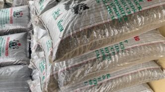 Federal Fishery Empowerment Scheme Reaches Igbooye Community in Lagos