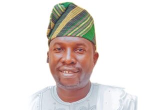 Lekki LCDA Chairman Calls for Renewed Commitment to Democratic Ideals