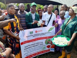NIHORT, TOPAN Empower 750 Lagos Farmers With Seeds, Training to Boost Tomato Production in South-West