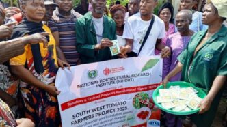 NIHORT, TOPAN Empower 750 Lagos Farmers With Seeds, Training to Boost Tomato Production in South-West