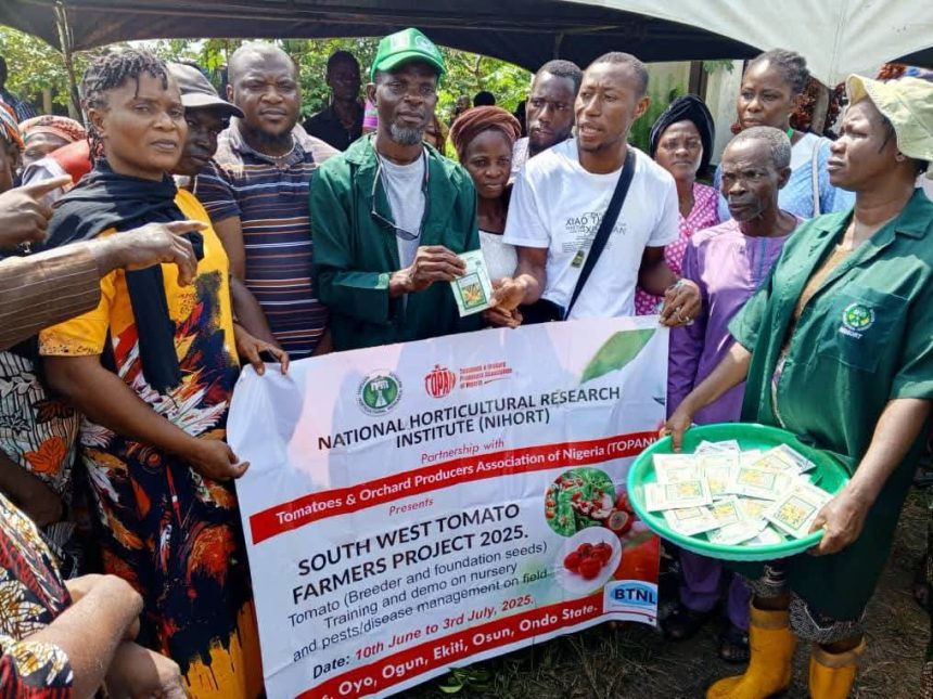 NIHORT, TOPAN Empower 750 Lagos Farmers With Seeds, Training to Boost Tomato Production in South-West
