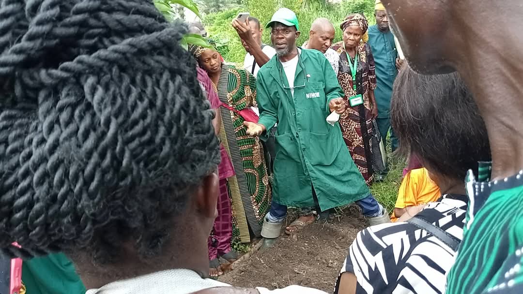 NIHORT, TOPAN Empower 750 Lagos Farmers With Seeds, Training to Boost Tomato Production in South-West