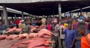 BREAKING: Lagos Reopens Oko-Oba Abattoir After Sanitary Compliance