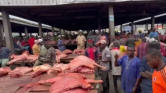BREAKING: Lagos Reopens Oko-Oba Abattoir After Sanitary Compliance