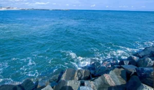 Lagos Set to Mark World Oceans Day, Calls for Collective Action to Protect Waterways