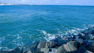 Lagos Set to Mark World Oceans Day, Calls for Collective Action to Protect Waterways