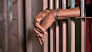 Lagos Civil Servant Arraigned for Alleged Sexual Molestation of 3-Year-Old Daughter