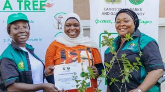 LASPARK Enhances Tree Survival Strategy, Plants Trees in Ibeshe Housing Estate
