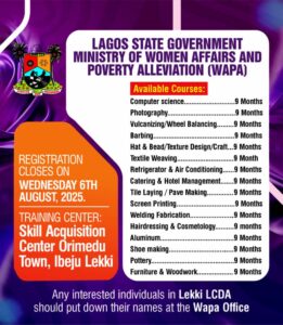RBK Launches Free Skill Acquisition Training in Lagos State: Last Day to Register for 9-Month Vocational Courses