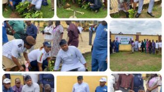 Ikosi-Ejinrin LCDA Deepens Commitment to Greener Future with 2025 Tree Planting Campaign