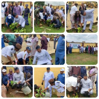 Ikosi-Ejinrin LCDA Deepens Commitment to Greener Future with 2025 Tree Planting Campaign