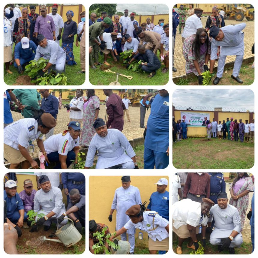 Ikosi-Ejinrin LCDA Deepens Commitment to Greener Future with 2025 Tree Planting Campaign