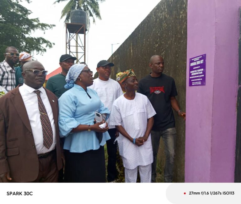 Old Students Give Back with Development Projects in Epe