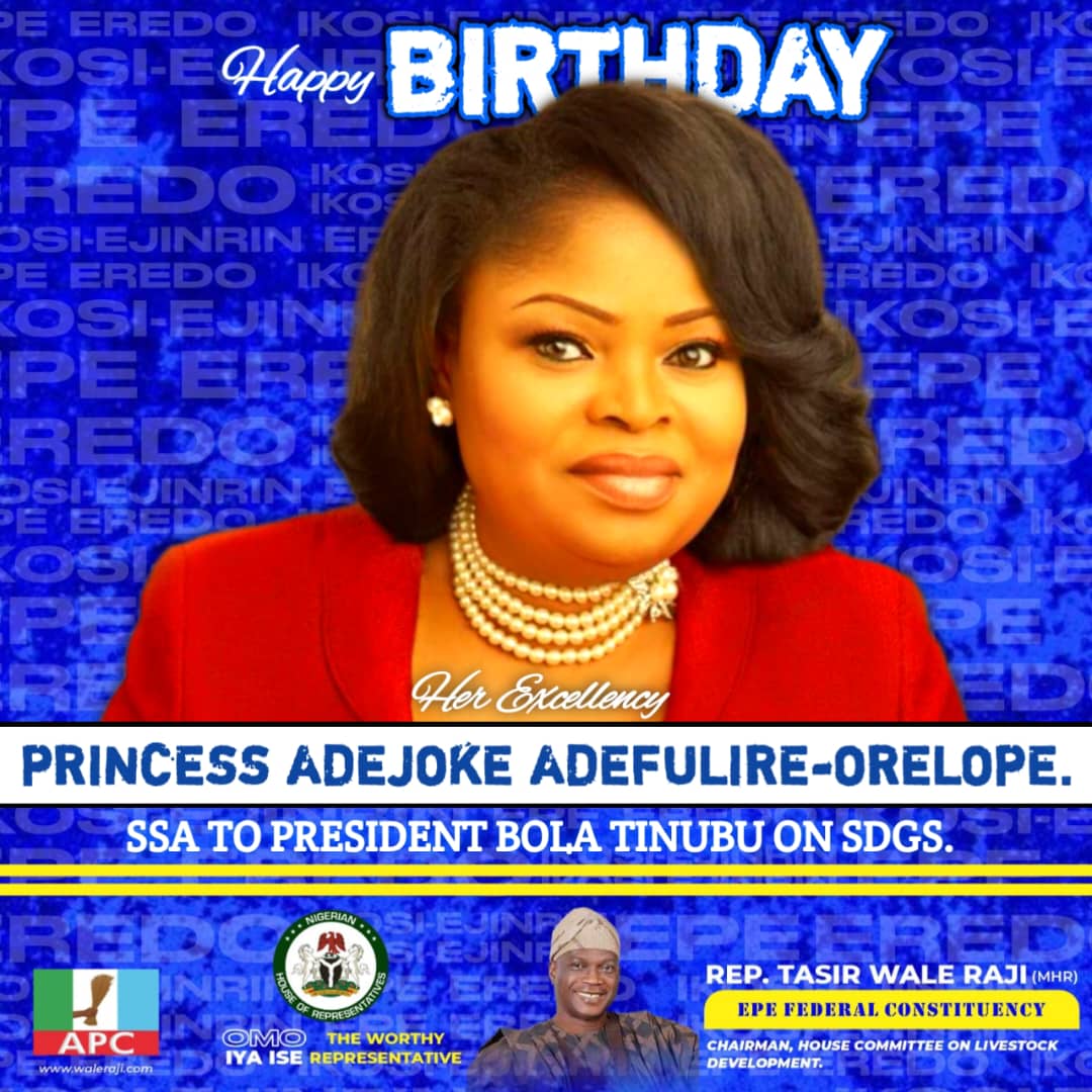 Rep. Wale Raji Celebrates Princess Adejoke Adefulire-Orelope on Her Birthday