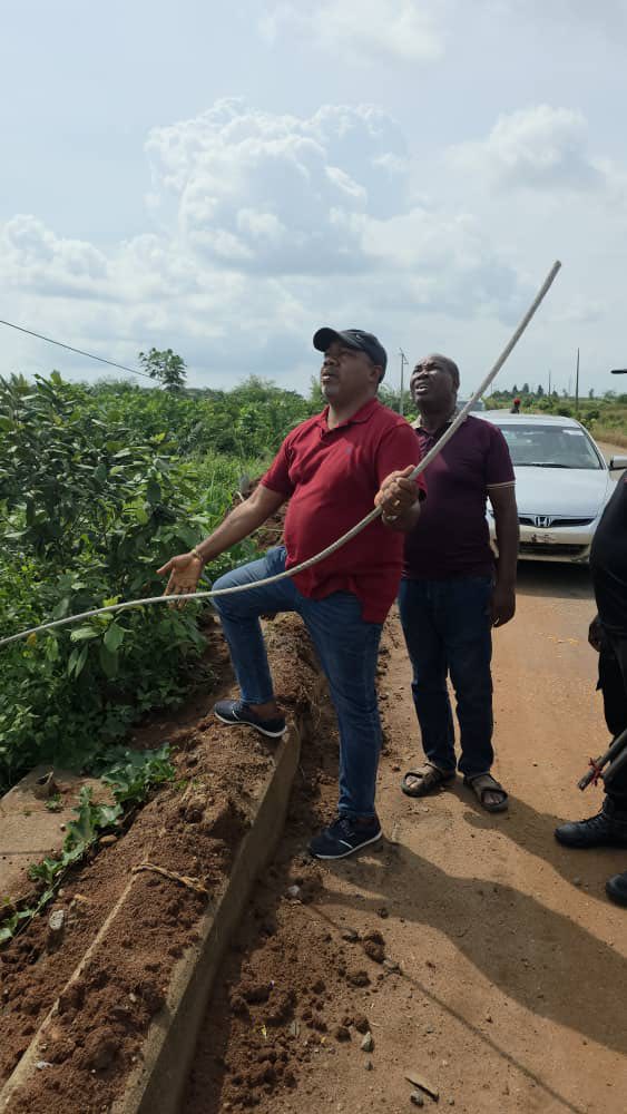 Wale Anomo Condemns Power Line Sabotage