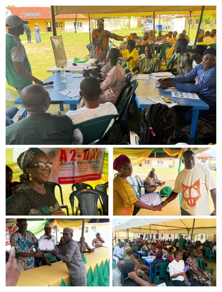 Lekki LCDA youth agro training