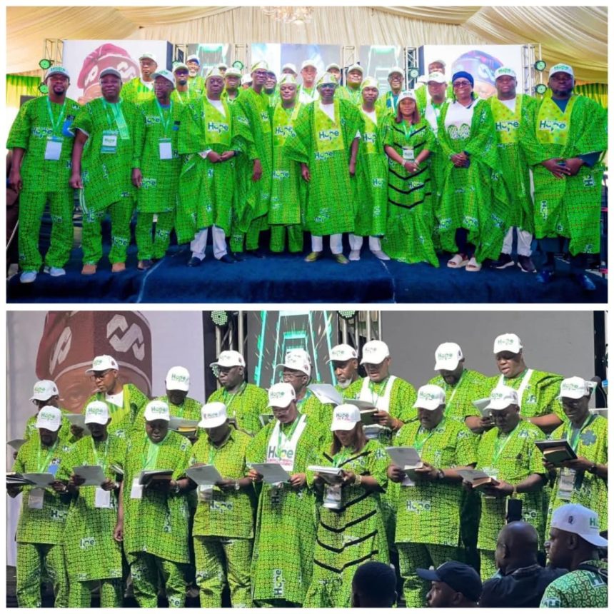 Surah Animashaun Renewed Hope Coordinator