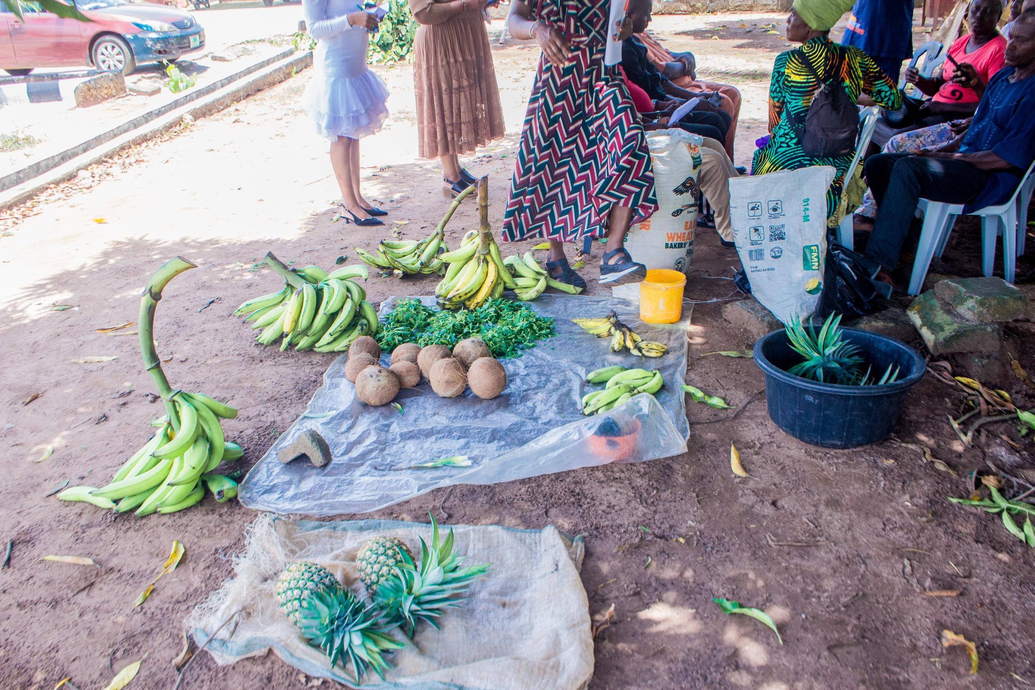 Ikosi-Ejinrin Farmers