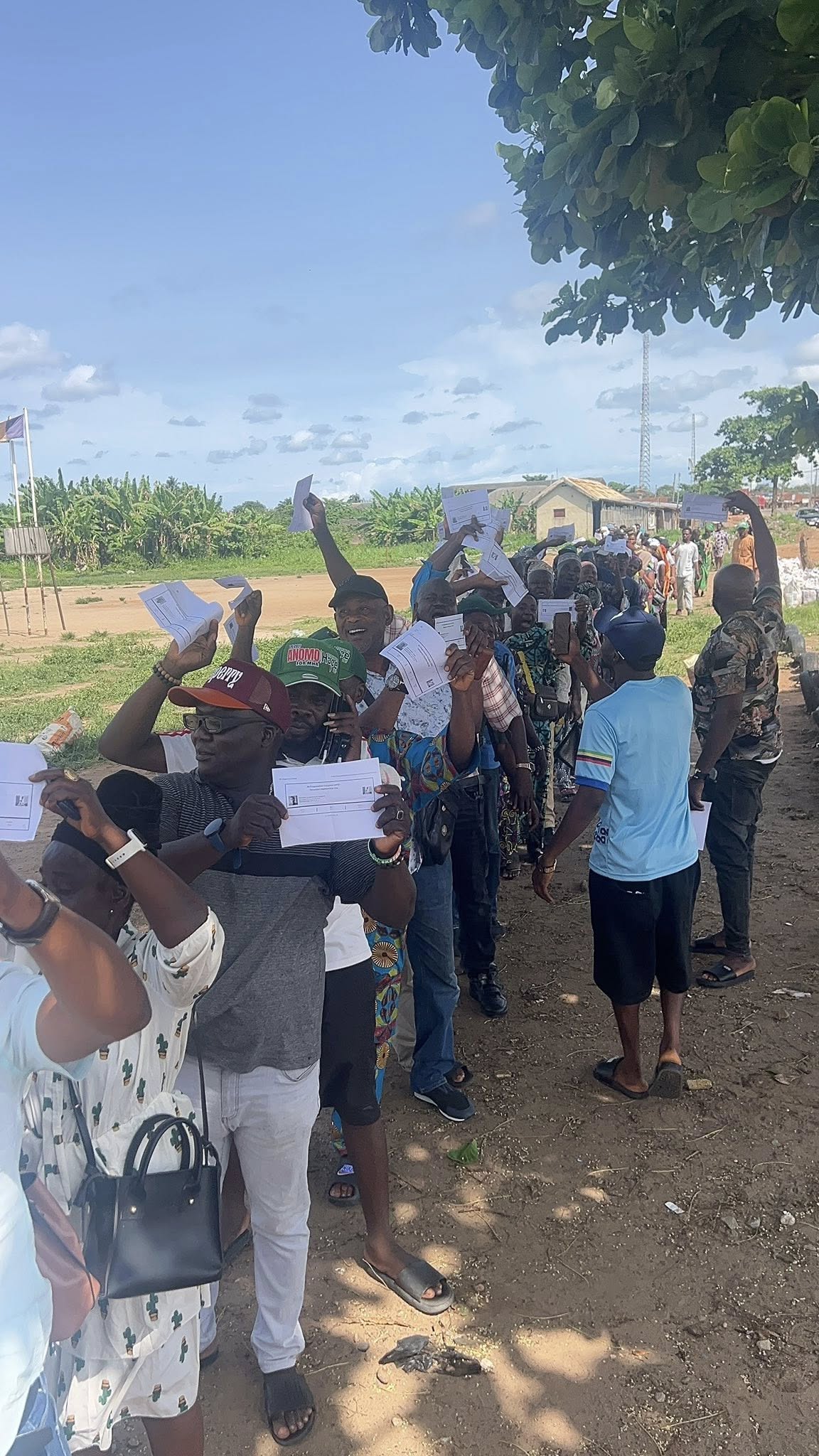 APC Primary Election