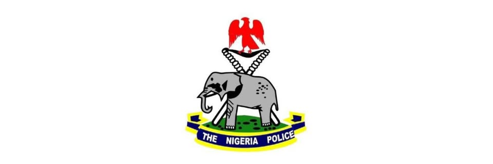 Police reforms